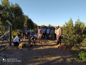 Sulama tesisi çalıştı, üretici bayram etti