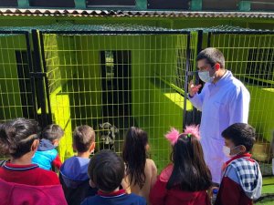 Barınak hayvanlarının kapıları miniklere açıldı