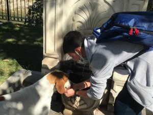 Vefalı köpek, kendisine su içiren öğrenciyi okuluna kadar takip etti