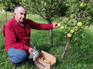 Arazisini şehitlerin anısına meyve bahçesine çevirdi ilk hasadı ise şehit ailelerine gönderdi