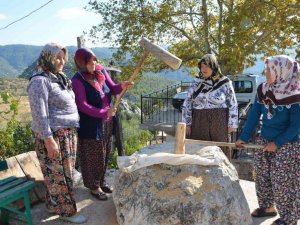 Antalya’da asırlık "dibekte buğday dövme" geleneği