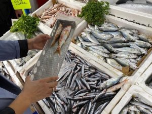 Iğdır’da perakende balık satışı yapan yerler denetlendi
