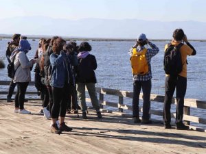 Dünya Göçmen Kuşlar Günü’nde Kızılırmak Deltasında kuş gözlemlediler