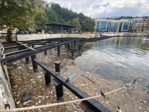 Yağmurun ardından çöpler limana doldu