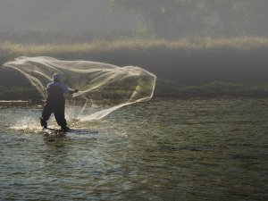 Alaçatı Sulak Alanına dikkat çekmek için yapılan fotoğraf yarışması sonuçlandı