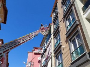 Tokat’ta kumru kurtarma operasyonu