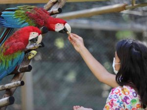 Büyükşehir Belediyesi Hayvanat Bahçesi’nde hedef bir milyon ziyaretçi