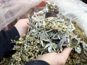 Adaçayı yağı her derde deva