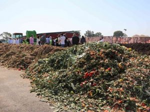 Atık sebze ve meyveler organik gübreye dönüşüyor