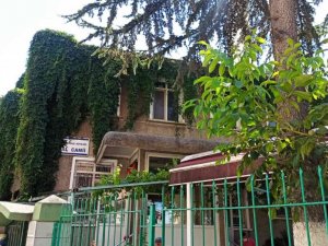 Bu caminin duvarları sarmaşıktan