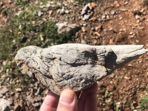 Kuş görünümlü taş görenleri şaşırttı