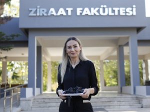 Antalya’nın yüksek rakımlarında üretilen ’süper meyve’ Aronya,  pandemi sürecinin gözdesi oldu