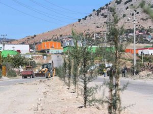 Kozan OSB ağaçlandırıldı