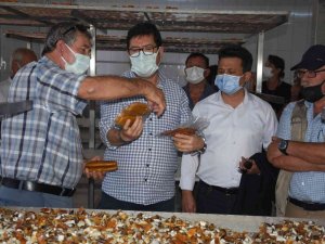 İl Müdürü Saylak, "Ülkenin en önemli su ürünleri yetiştiriciliği potansiyeline sahip il Muğla"