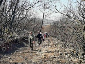 Osmaniye’de yanmış ormanlık alanda doğa yürüyüşü