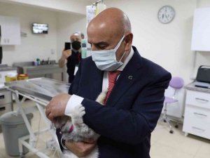 Keçiören Belediyesi ‘8 bin 376’ sokak canlısını tedavi etti