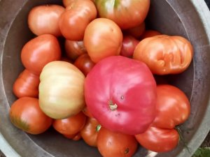 Kabartma şeklindeki Allah yazısı şaşırttı