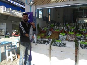 Marmara’da sıcaklık düşünce balık fiyatları geriledi