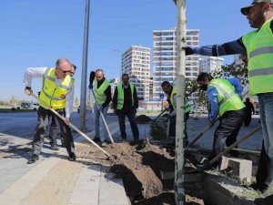 Bilgin 5 bin ağacı toprakla buluşturdu
