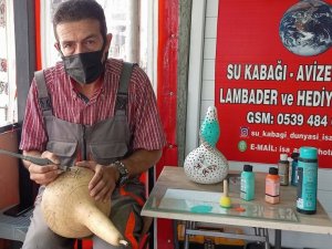 Mudanya’da su kabağı dünyası