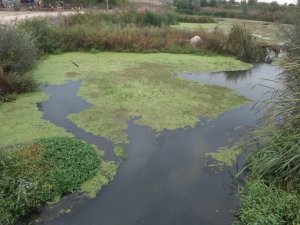 Tekke Deresi’ne atık bırakıldığı iddiasına inceleme