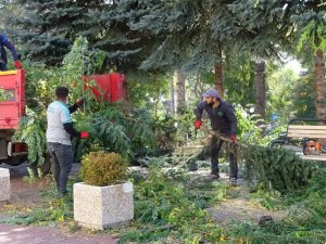 Yozgat’ta ağaçlara kış bakımı