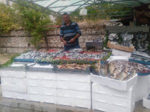 Emet’te yeni balık satış noktası açıldı