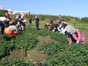 Üniversite öğrencilerinden ilaç sanayisine destek
