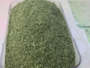 Kokusuyla yemeklere lezzet katan pıltan otuna ilgi