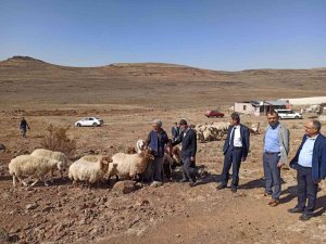 Sarıçiçek Yaylasındaki su sıkıntısı çözüme kavuşuyor