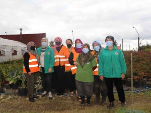 Rize’nin ata tohumları seralarda hayat buluyor