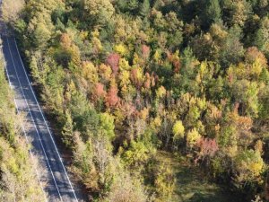 Bartın’da sonbahar manzaraları havadan görüntülendi