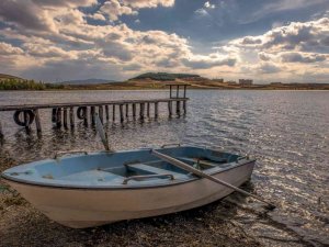 Tarihi Kuş Cenneti Hafik Gölü, doğaseverlerin akınına uğruyor