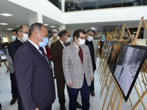 "Doğa ve İnsan" sergisi açıldı