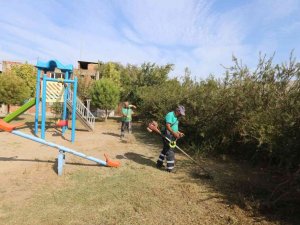 Efeler Belediyesi kent genelinde yeşil alan bakım çalışmalarını sürdürüyor
