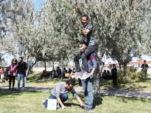 İğde hasat şenliğinde iğde toplayıp kıyasıya yarıştılar