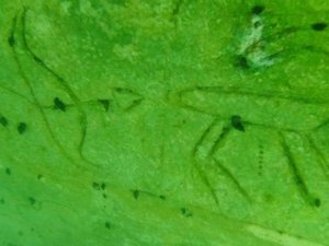 Su altındaki tarih ilk günkü canlılığını koruyor