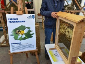 Ankara Büyükşehir Belediyesi “Başkent’in Beş Beyazı”nı tanıttı