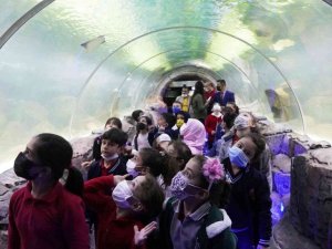 Keçiören’de öğrenciler Deniz Dünyasına akın ediyor