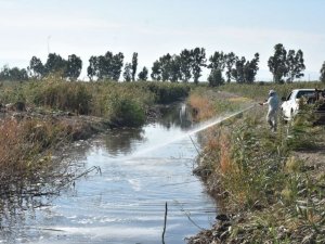 Edremit’te 4 mevsim sinekle mücadele
