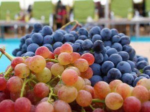 Elazığ’da 15. Bağ Bozumu ve Orcik Festivali başladı