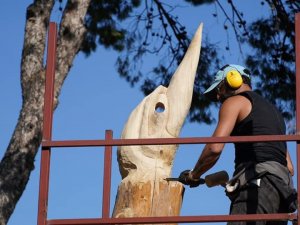 Çeşme’de ömrünü tamamlamış ağaçlar sanat eserine dönüşüyor