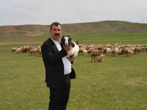 TÜDKİYEB Genel Başkanı Çelik: “Sürü büyütme ve yenileme desteği 100 liradan 125 liraya, çoban istihdam desteği 5 bin liradan 6 bin liraya yükseltildi”