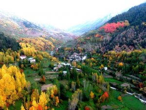 Artvin’de sonbaharın gelişiyle renk cümbüşü yaşanıyor