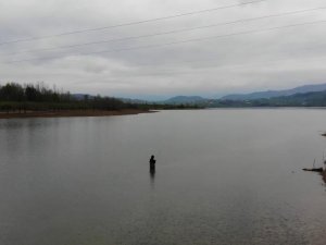 Karadeniz’de yağmur bereketi: Barajlar doldu
