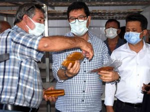 Balık yumurtası ve bottargada hedef 1 milyon kiloyu aşmak