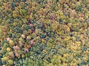 Tunceli sonbaharda görsel şölen sunuyor