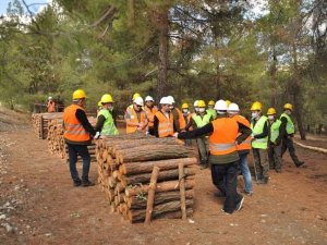 Orman işçilerine uygulamalı eğitim verildi