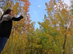 Yüksekova’da sonbahar güzelliği