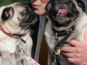 İngiltere’de Muhafazakar Parti Milletvekili David Amess’in, Essex bölgesinde bıçaklı saldırıya uğradığı bildirildi.